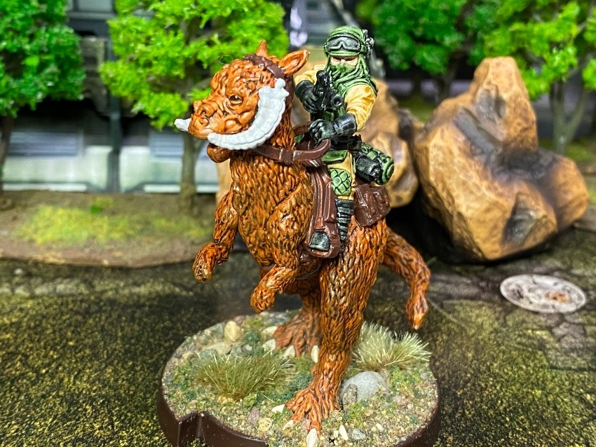 トーントーンライダー